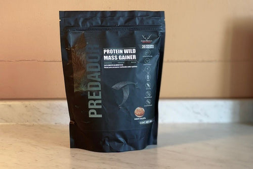 Protein Wild - Mass Gainer 600 gr